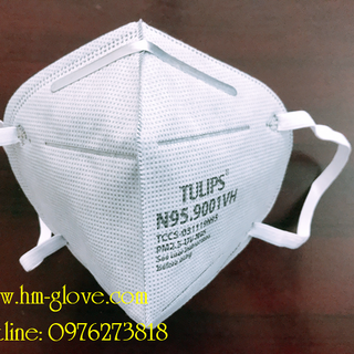 Khẩu Trang N95 9001VH Có Van