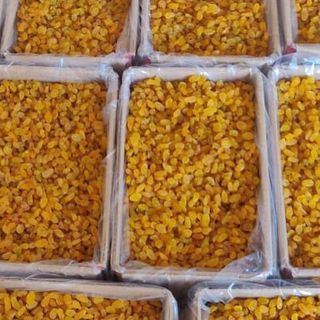 Nho Vàng Thổ Nhĩ Kỳ ( Sultanas Turkey)