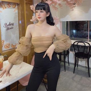 Set Thiết Kế Áo Lưới Cao Cấp