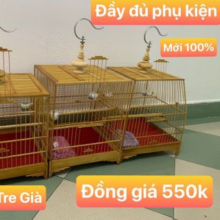 Lồng thái