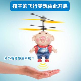 Heo bay cảm ứng cho bé