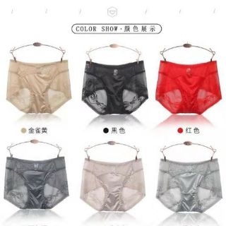 Quần lót ren lưới cao cấp 8229