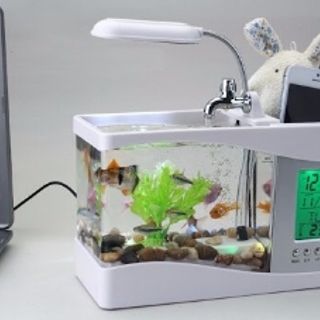 Bể cá cảnh mini