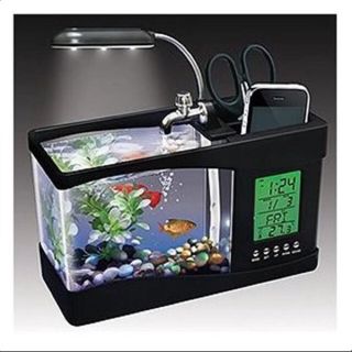 Bể cá cảnh mini