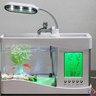 Bể cá cảnh mini