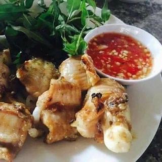 Cá Ninja (cá chình bọc)
