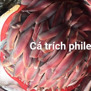 Cá Trích Phi Lê Giá Sỉ