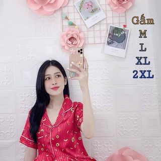 Bộ pijama chất gấm quần dài tay ngắn