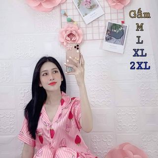 Bộ pijama chất gấm quần dài tay ngắn