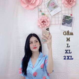 Bộ pijama chất gấm quần dài tay ngắn