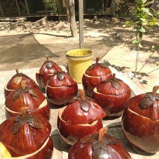 Vỏ bình dừa giữ ấm nước trà