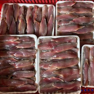 Cá Trích Phi Lê Giá Sỉ