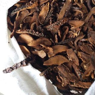 Nấm ngọc cẩu sấy khô