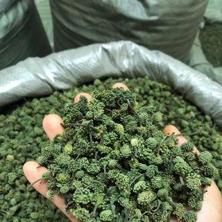 500g tam nụ tam thất bắc khô