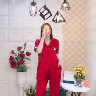 Bộ gấm cao cấp 847y