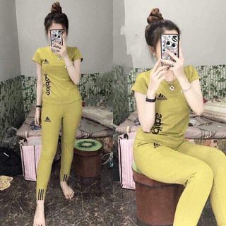 Bộ coton mã 6865
