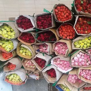 hoa tuơi Đà Lạt