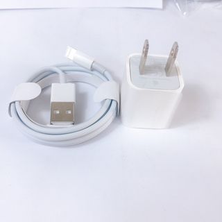 Bộ sạc Iphone Apple 100%