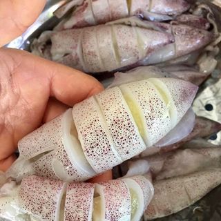 MỰC TRỨNG FULL 100%