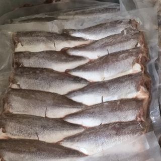 Cá đù ốp 1 nắng