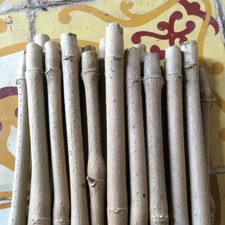10 nhánh chè khổng lồ. Tặng 50gram phân npk 20-20-15. Trồng làm thức ăn bổ dưởng cho vật nuôi như bò dê thỏ bọ và cá