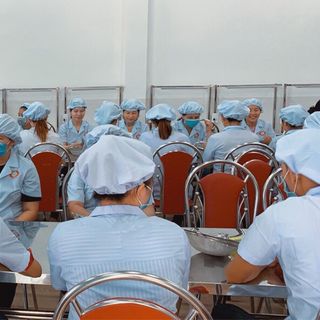 Tinh chế sợi không đường không độn