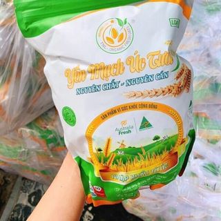 yến mạch Úc Tươi giá sỉ