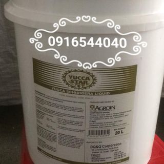 YUCCA XỬ LÝ NƯỚC, HẤP THU KHÍ ĐỘC HIỆU QUẢ SAU 1 LẦN SỬ DỤNG