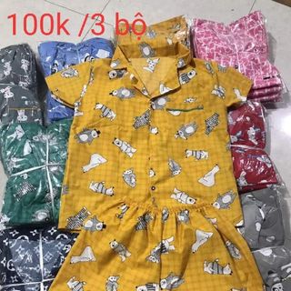 Lô pijama đùi 2x
