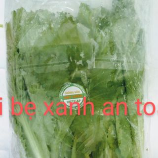 Cải bẹ xanh Vietgap
