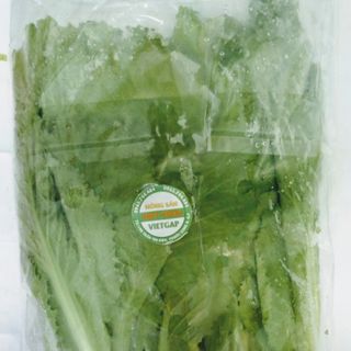 Cải bẹ xanh Vietgap