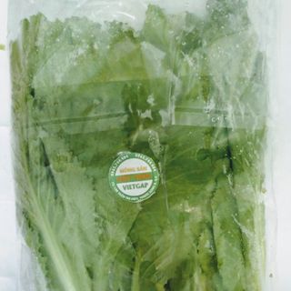 Cải bẹ xanh Vietgap