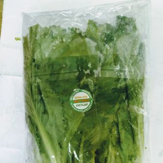Cải bẹ xanh Vietgap