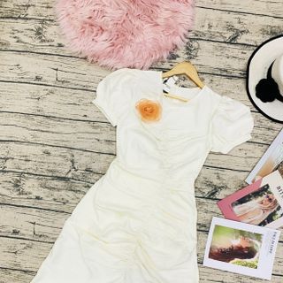 ĐẦM DÚN TOÀN THÂN ĐÍNH HOA HỒNG