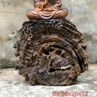 Tượng đạt ma diện bích gỗ lũa nhai bách