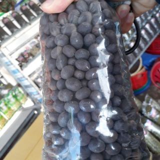 Hạt sen khô nguyên vỏ