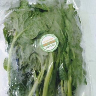Rau mồng tơi Vietgap