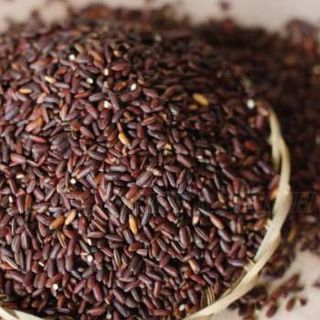 Trà Gạo lứt 500gr giá sỉ