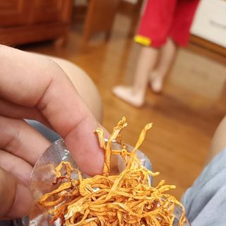 Đông trùng hạ thảo