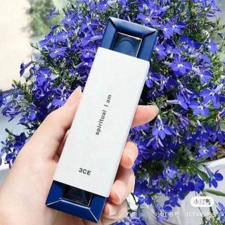 Son 3 chị em