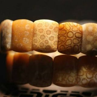 Vòng chuỗi hạt san hô hóa thạch