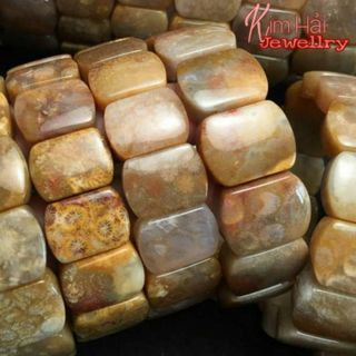 Vòng chuỗi hạt san hô hóa thạch