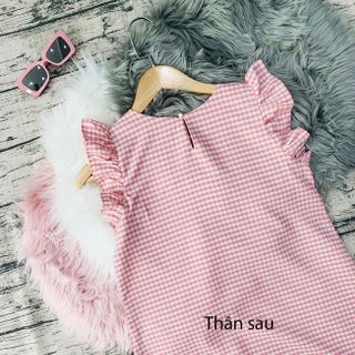 ĐẦM BÈO LAI SỌC CARO