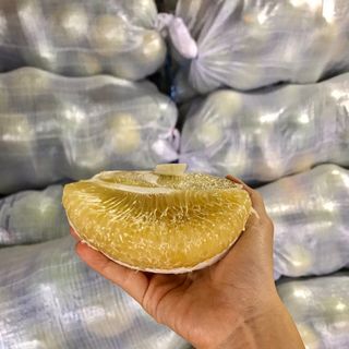BƯỞI 5 ROI