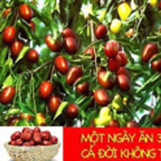 Táo đỏ Tân Cương giá sỉ