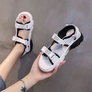 Giay sandal màu. S
