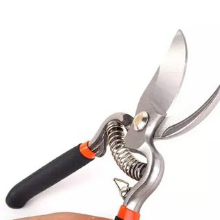 Kéo cắt cành Asaki