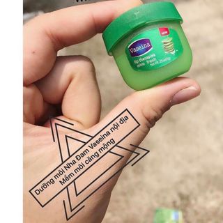 Vaseline nha đam