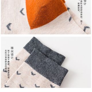 Sỉ tất nam nữ nhiều hình mix màu cực đẹp