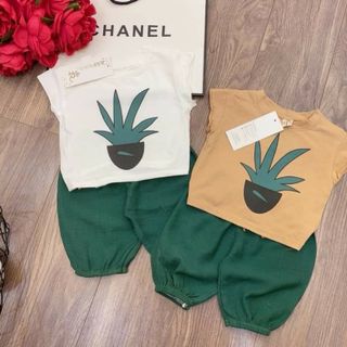 Sét bộ mẫu dứa quần boom